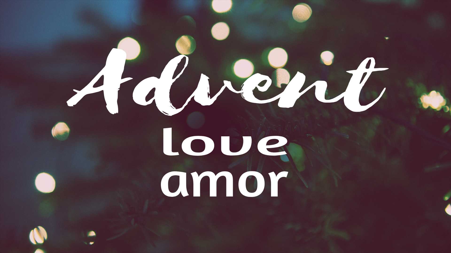 Advent – Love